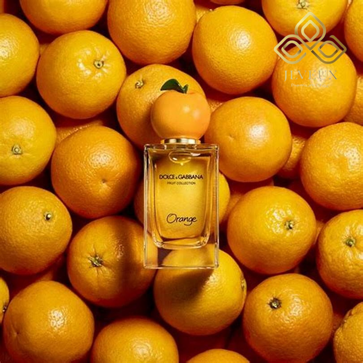 Orange Dolce&Gabbana